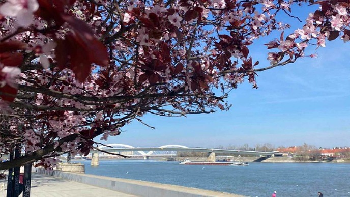 Prvog dana proleća 14 stepeni